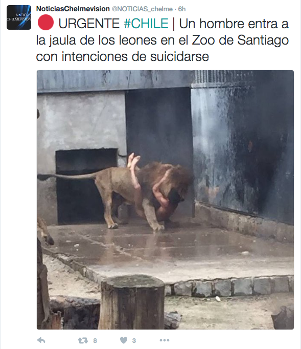 Se mete en jaula de los leones para suicidarse, y lo salvan matándolos