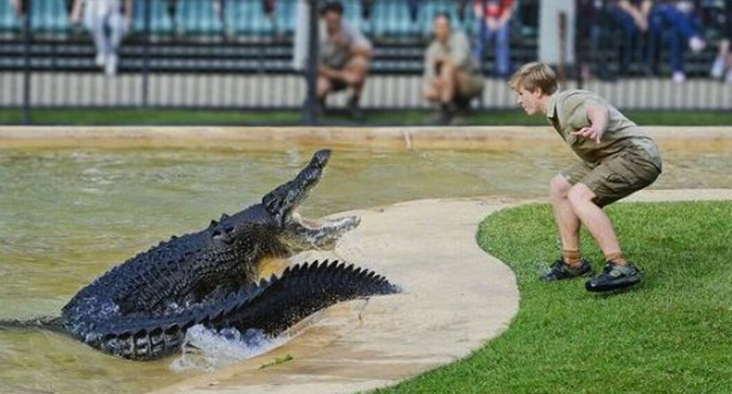 Video: Hijo de el 'cazador de cocodrilos' escapa del ataque de gigante  caimán